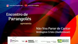 Não Vou Parar de Cantar