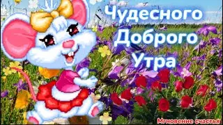 Пусть тёплый, уютный денёк подарит много радости и позитива! ☕☀️🌹🌹🌹😍 С Добрым Прекрасным Утром! 😊🤗