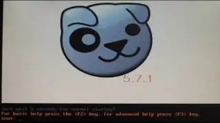 Установка PuppyRus Linux на внешний накопитель и работа с флешки