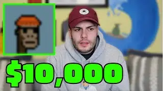 I Spent $10K On A Crypto Discord