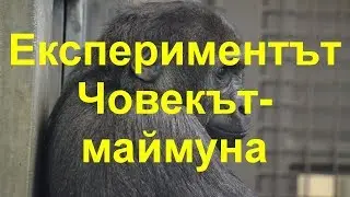 Експериментът 
