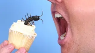 Surprise In Food!