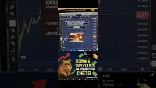 BitMEX снова в игре! 🚀 Живая торговля и стратегия от трейдера