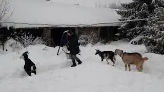 Натуральные продукты
