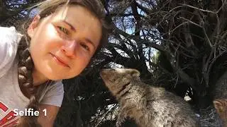 Perth, День 4 / Rottnest Island