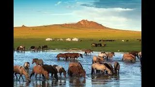 Traveling in Mongolia with Krishna Monk - Day9
