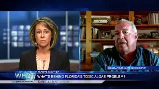 What's Behind Florida's Toxic Algae Problem? - Interview with Brian LaPointe