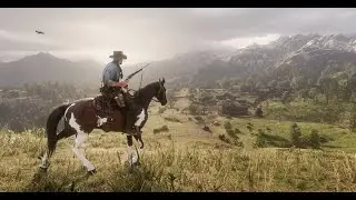 How To install Lenny's Simple Trainer Into RDR2.