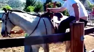 самые смешные прыколы