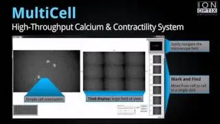 MultiCell