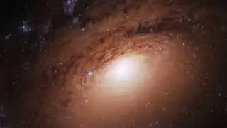 Гравитон и Теория всего. Часть 9