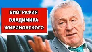 Биография Жириновского. Владимир Жириновский Википедия.