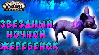Звездный ночной жеребёнок загадка на получение спутника в World of Warcraft Shadowlands