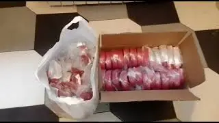 В гостях у Турка  (Отчёт)