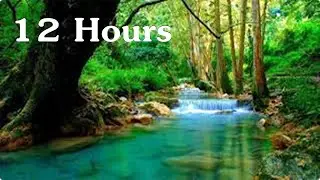 12 Hours of 