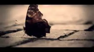 Francesco Berta - 12 [Official Video]