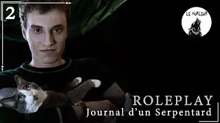 Journal d'un Serpentard 2/3
