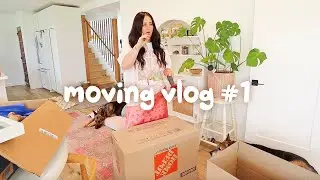 moving vlog #1 - the first of many! 📦