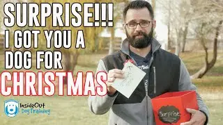 Should you get someone a dog as a surprise present?