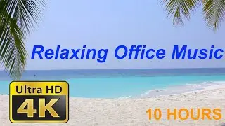 Music for Office: 10 HOURS Music for Office Playlist and Music For Office Work