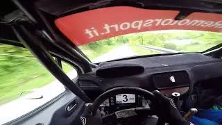PURE SOUND Rally Driver POV - Peugeot 208 R2 - GoPro HERO 5