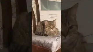 Не буди лихо..