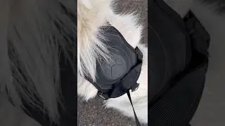 50% Rabatt ❤️ www.ML24SHOP.de Ihr und euer #Hund werdet euch über dieses #Hundegeschirr sehr freuen.