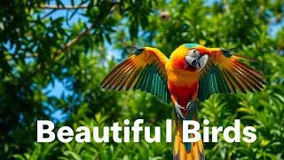 WITNESS Birds That Are NATURE'S MASTERPIECES!