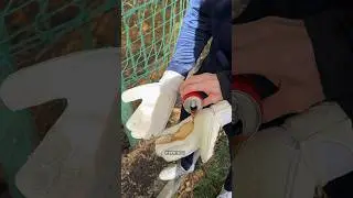 КОЛА НА ПЕРЧАТКИ ДАЕТ МЕГАСЦЕПЛЕНИЕ?