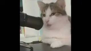 оу да