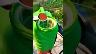 Подкормка кальцием в жару