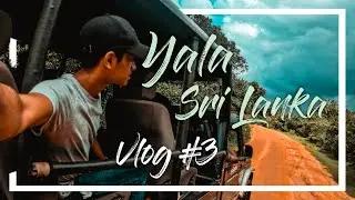 Yala Sri Lanka adventure safari | යාලෙ ඇතුලේ offroad jeep race ගියා | Lens And Art