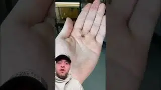 THESE ANIMAL EGG TRANSITIONS ARE CRAZY 