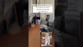 Офисный переезд 50 рабочих мест.