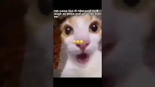 ඔයාලටත් මෙහෙම වෙලා තියෙනවද? 🥲 