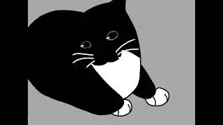 Maxwell Cat Combo