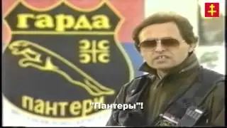 Родолюб Вулович (Роки) - Пантеры