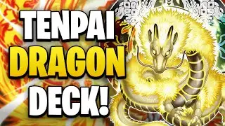 Best Tenpai Dragon Deck Profile | POST INFO