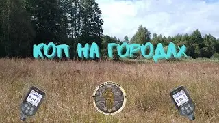 Коп на городах з  Nokta makro simplex + (нокта макро сімплекс плюс)