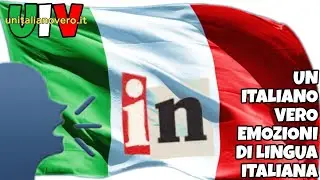 «Tu parli italiano, parli l'italiano, ma si può dire che tu parli IN italiano?» UIV Un Italiano Vero