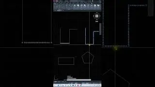 What are the differences between the Line and the Polyline in AutoCAD 