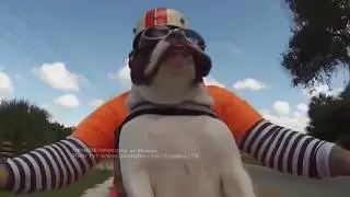 СПОРИМ ЗАСМЕЁШЬСЯ