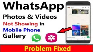 WhatsApp photos and videos not showing in android Phone gallery