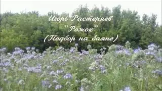 Игорь Растеряев - Рожок (Подбор на баяне)