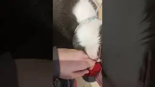 Успокойте нервы, и раслаблятесь 😊❤