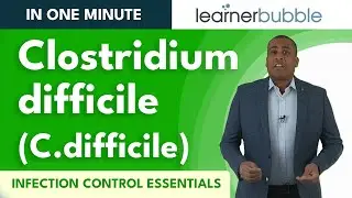 Infection Control - Understanding Clostridium Difficile - C Difficile or C diff