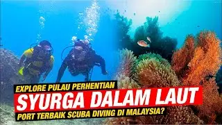 Scuba Tanpa Lesen di Pulau Perhentian!