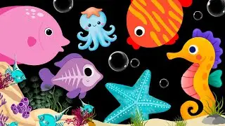 Baby Sensory Video - Baby Calm Music - Sensory Videos For Babies - Visual Stimulation Newborn #baby