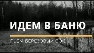 ФАЗЕНДА TV - паримся в бане правильно - сбор и проба березового сока - как сложить поленницу