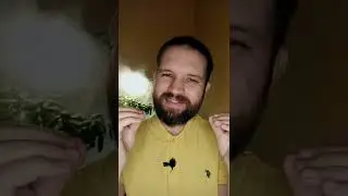 Брентфорд Челси прогноз